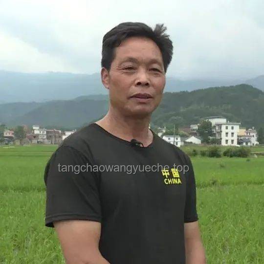不小心染上恋夏风了怎么办？实用调整指南
